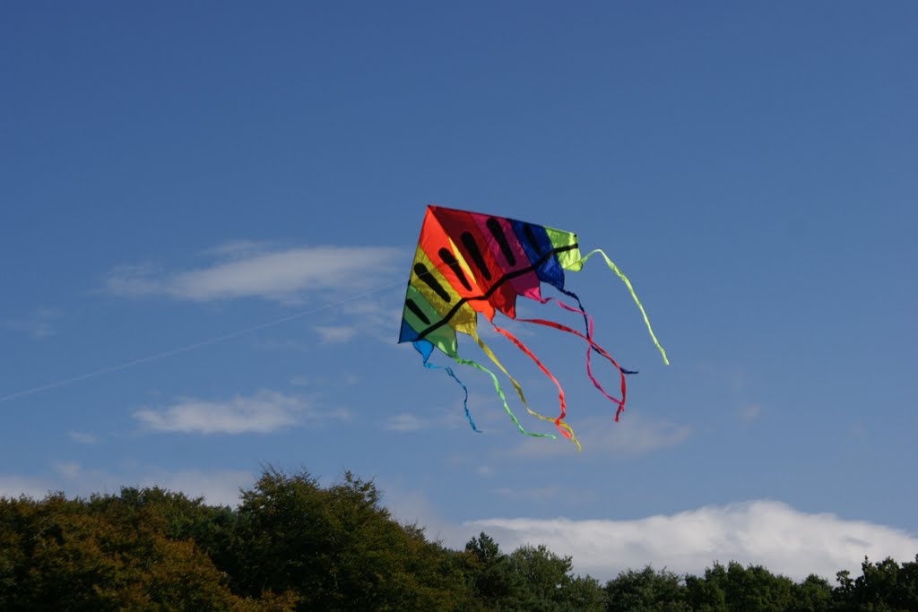 Kite in Royden Park, Грисби
