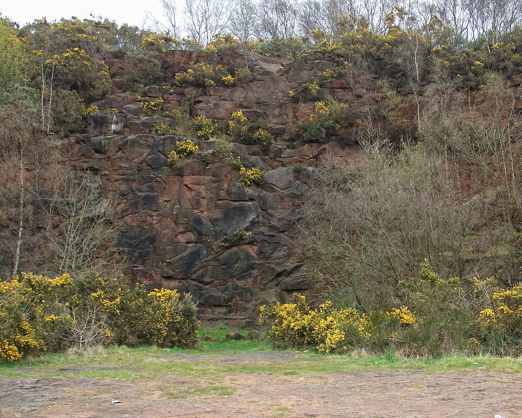 rock face at irby quarry, Грисби
