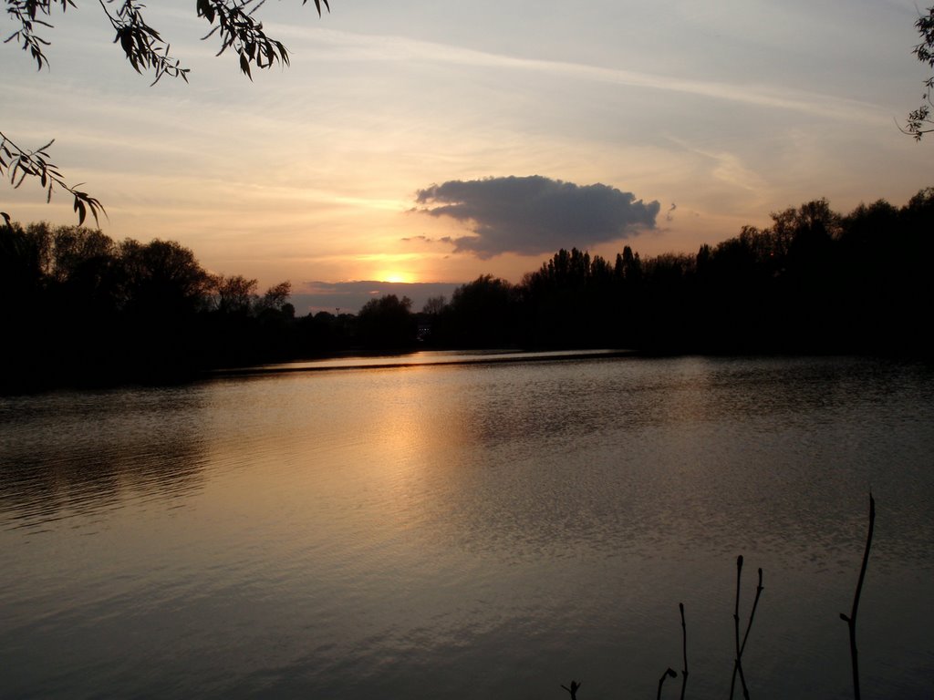 Dartford Lakes, Дартфорд