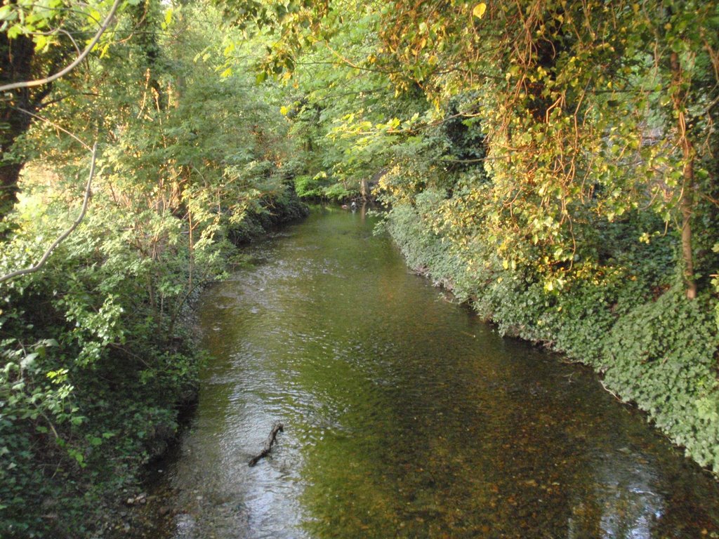 The Darenth River, Дартфорд