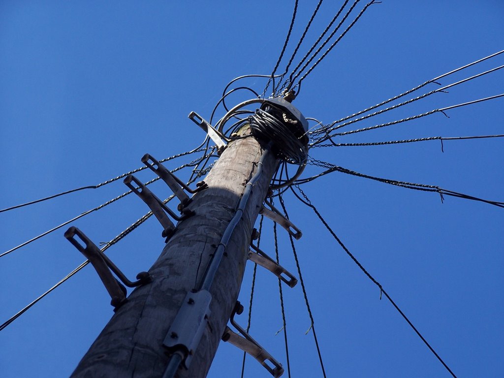 Telegraph Pole, Дерби