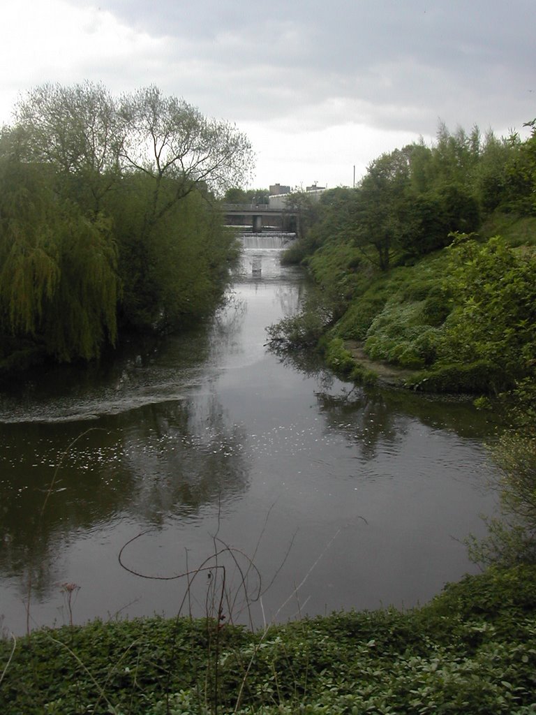 River Cheswold, Донкастер