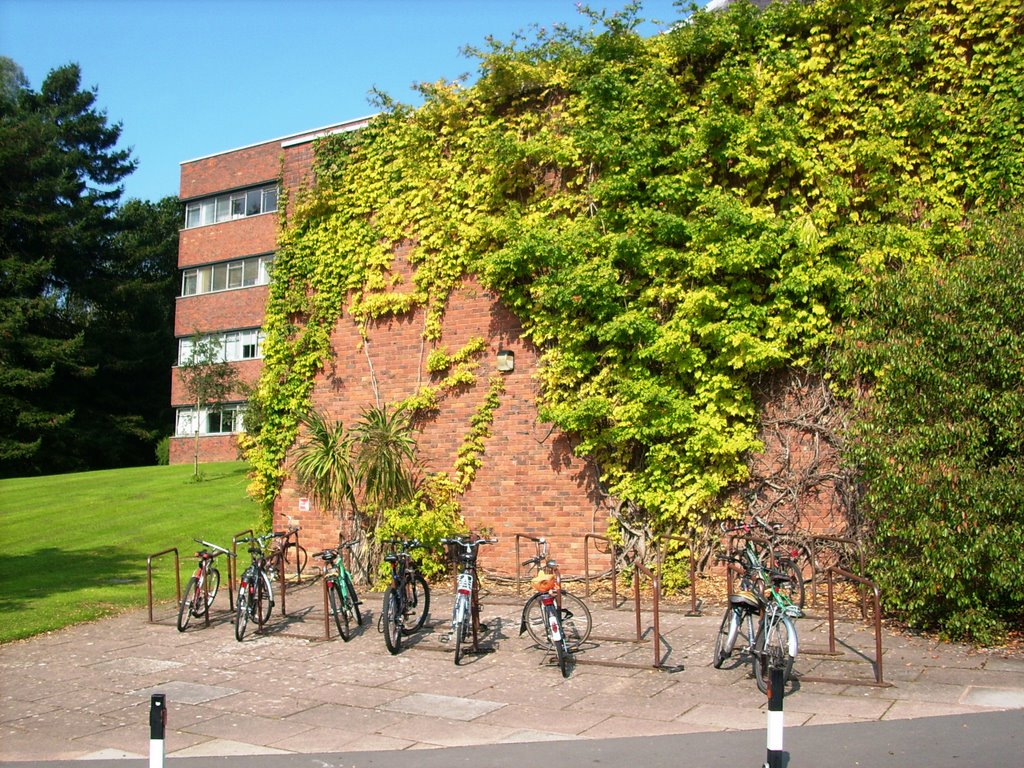 University of Exeter - Streatham Campus 6, Ексетер