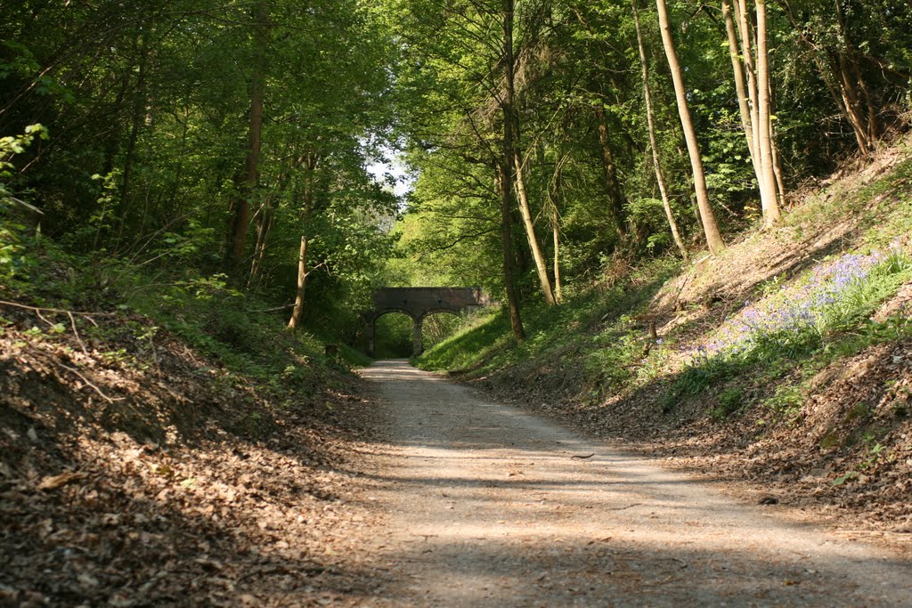 The Worth Way, East Grinstead, Sussex, Apr 2011, Ист-Гринстед