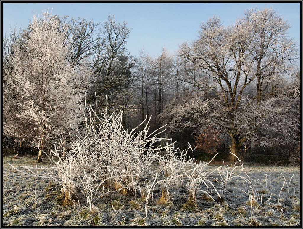 Winters frosty mantle, Кендал