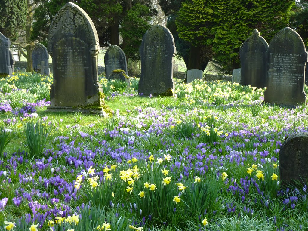 Kendal Cemetery in the Spring., Кендал