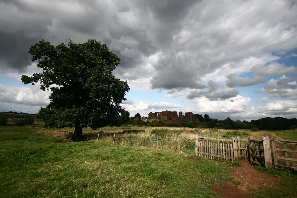 Kenilworth Castle from across the old mere #2, Кенилворт