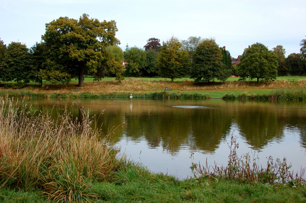 Lake in Abbey fields,Kenilworth, Кенилворт