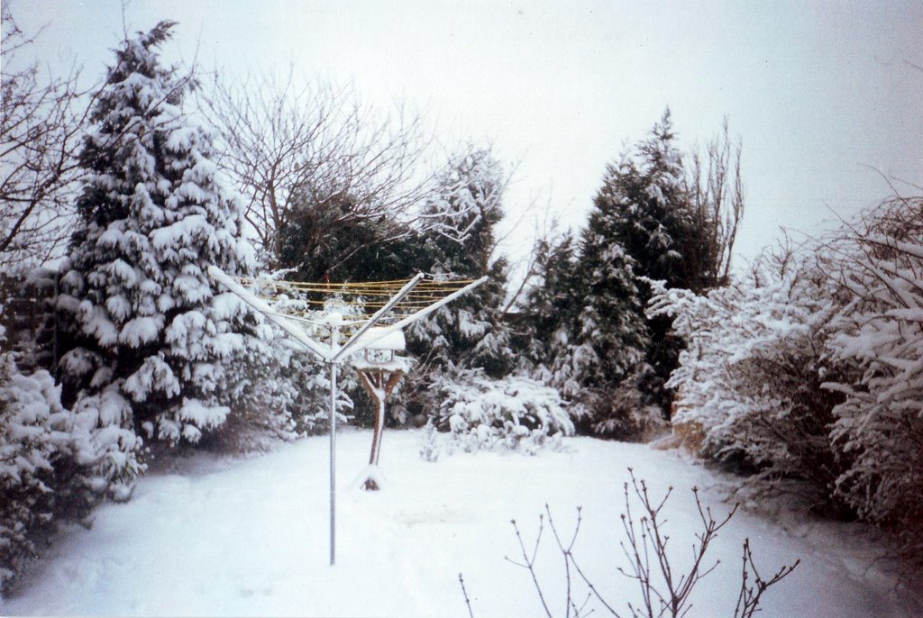 Winter Snow in the Back Garden, Киркби