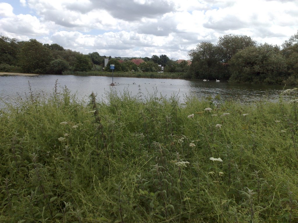 Fetcham Mill Pond, Литерхед