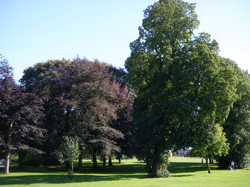 Lichfield park (taken by S.Leeson), Личфилд