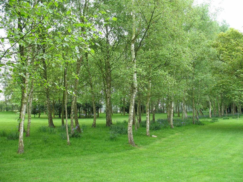 Stockwood Park, May 2006, Лутон