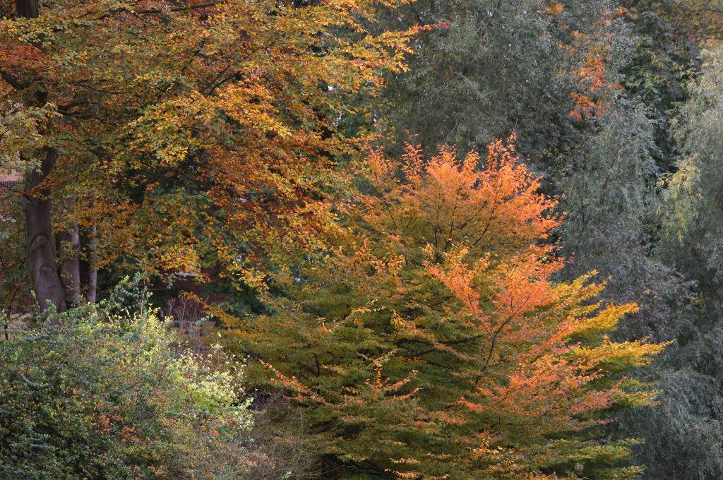 Autumn in wardown Park Luton, Лутон
