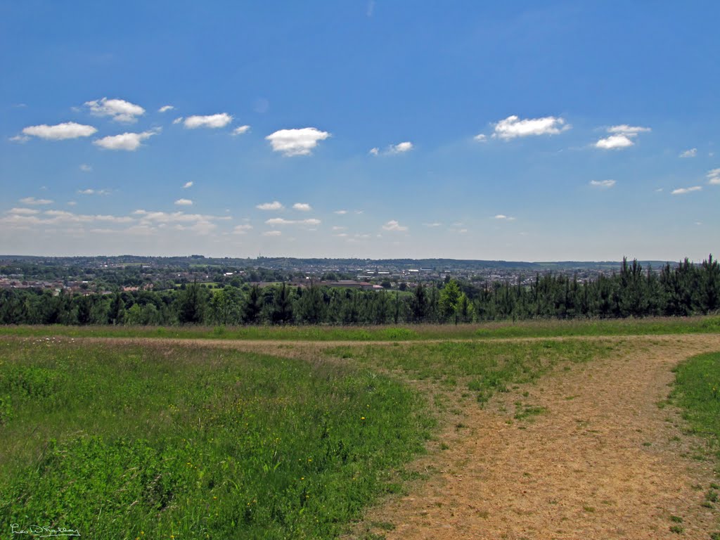 Highest Point of Oxclose Wood, Мансфилд