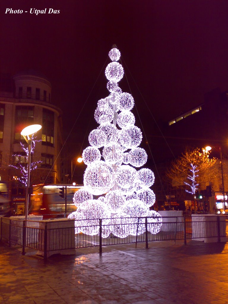 Piccadiliy Garden, Glowing Christmas tree - Manchester, Манчестер