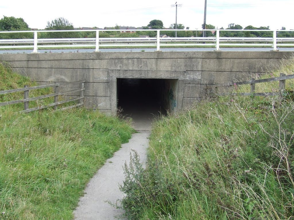 Footpath Tunnel Under the M621 Motorway, Морли