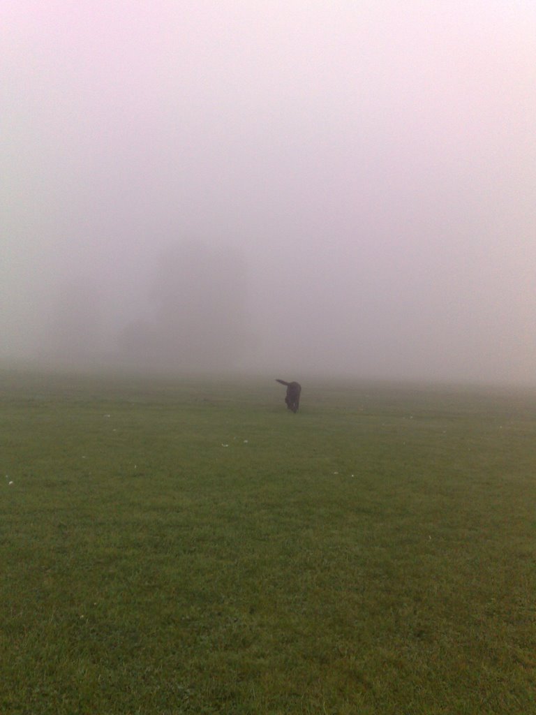 foggy morning, Нортгемптон