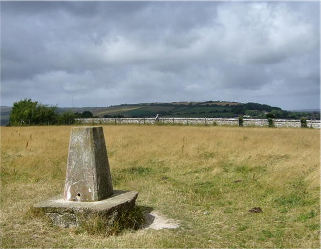 Mount Joy Triangulation Pillar (Isle of Wight), Ньюпорт