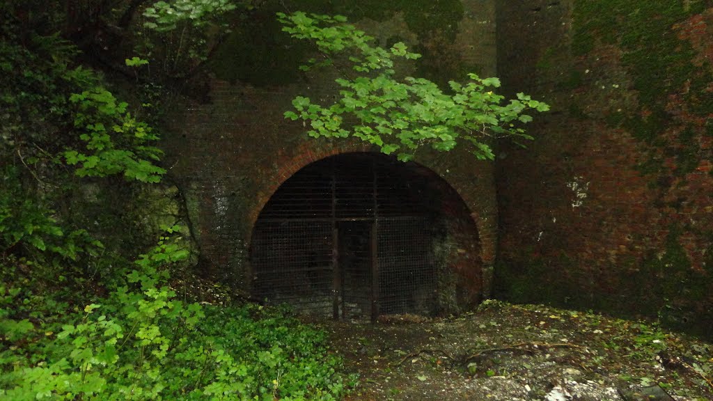 old railway tunnel ( unused ), Ньюпорт