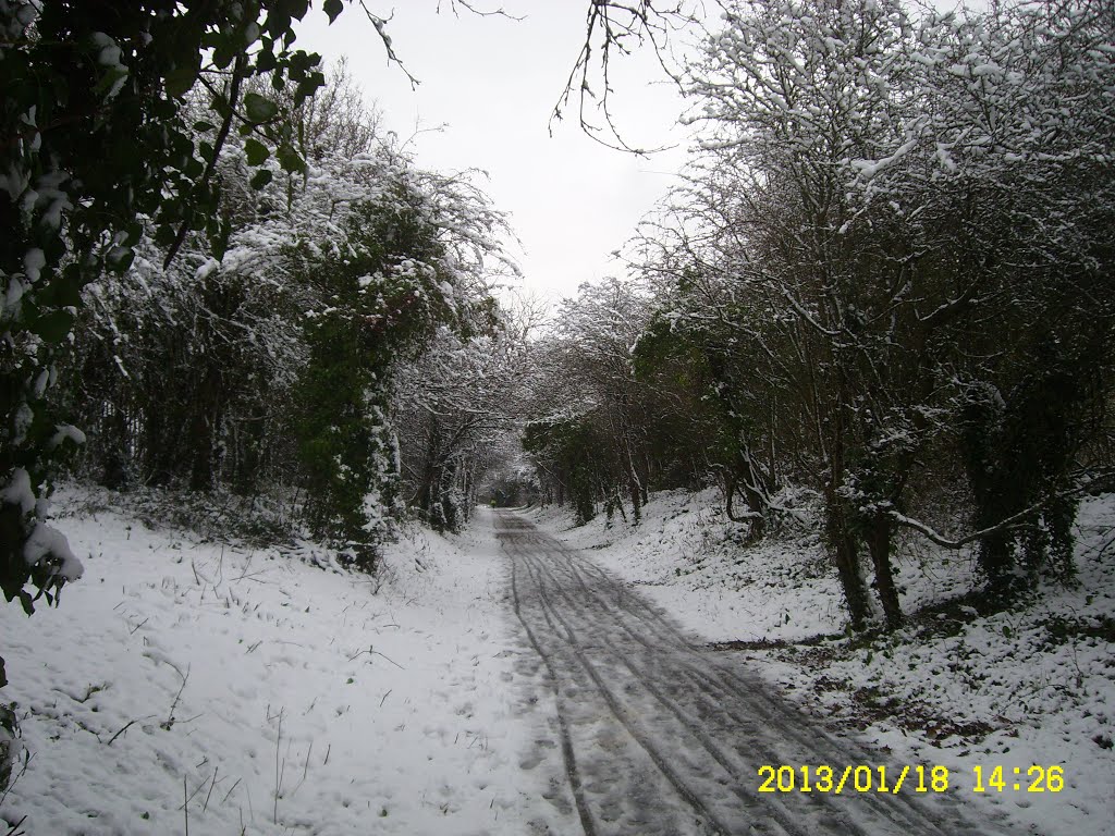 Looking north, from the Newport end of the Newport-Cowes cycletrack 18 Jan 2013, Ньюпорт
