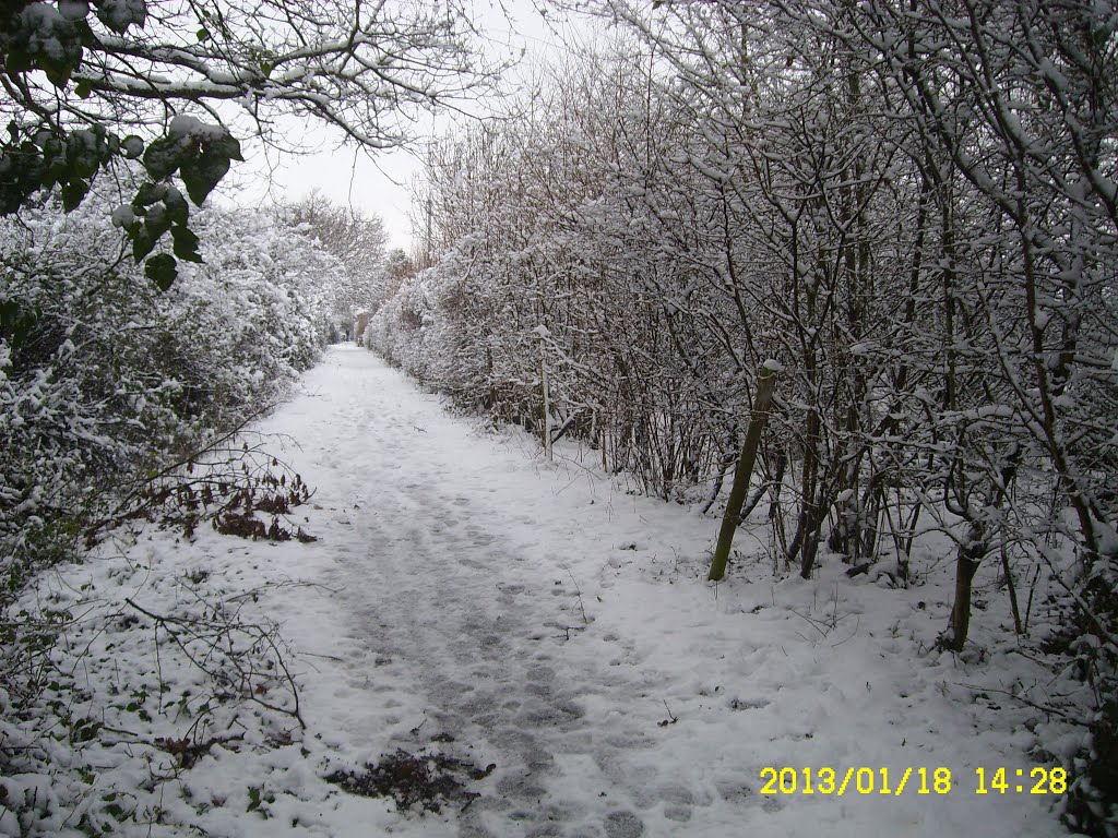 Looking up footpath N31 towards Barry Way, from Newport-Cowes cycletrack 18 Jan 2013, Ньюпорт