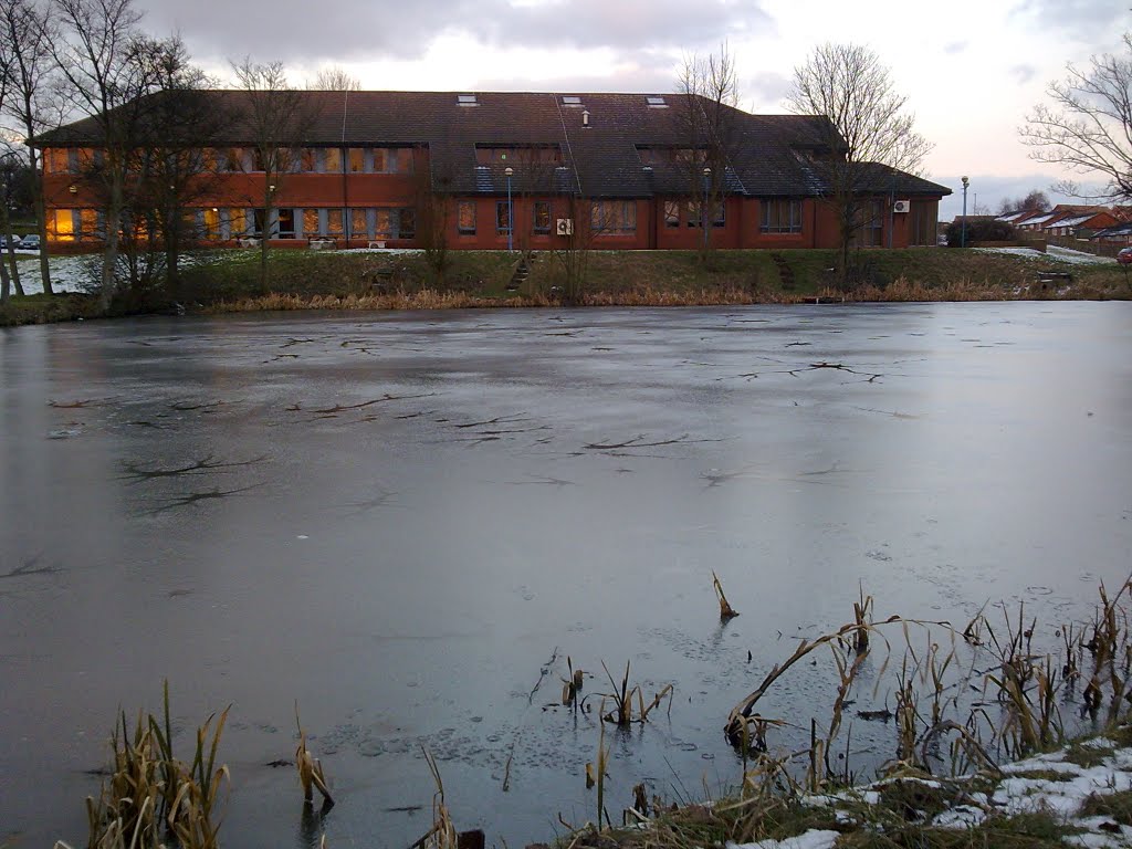 iced up pond on owl lane, Оссетт