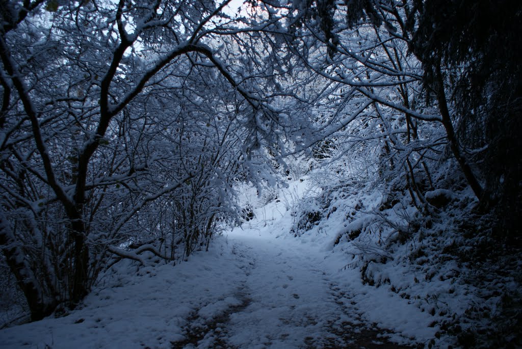 winter walk, Петерли