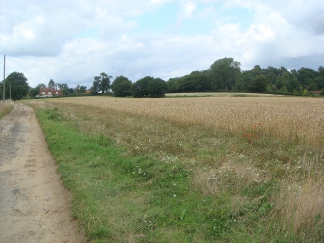 Priory Hill from Flanchford, Рейгейт