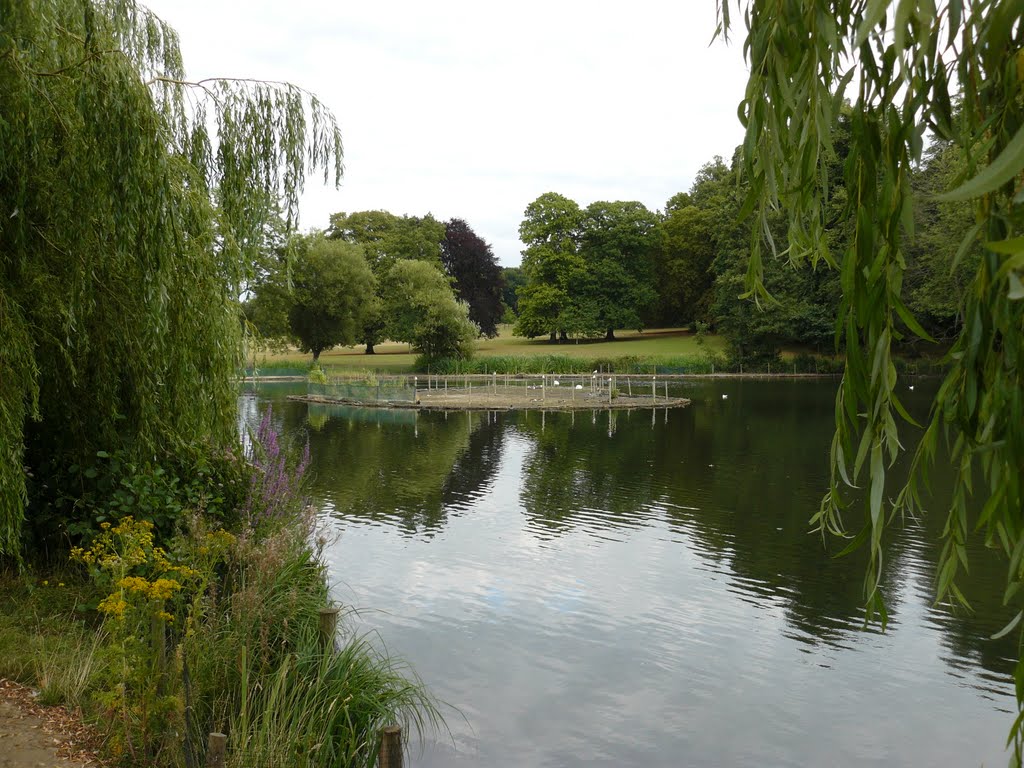 Priory park, the lake, Рейгейт