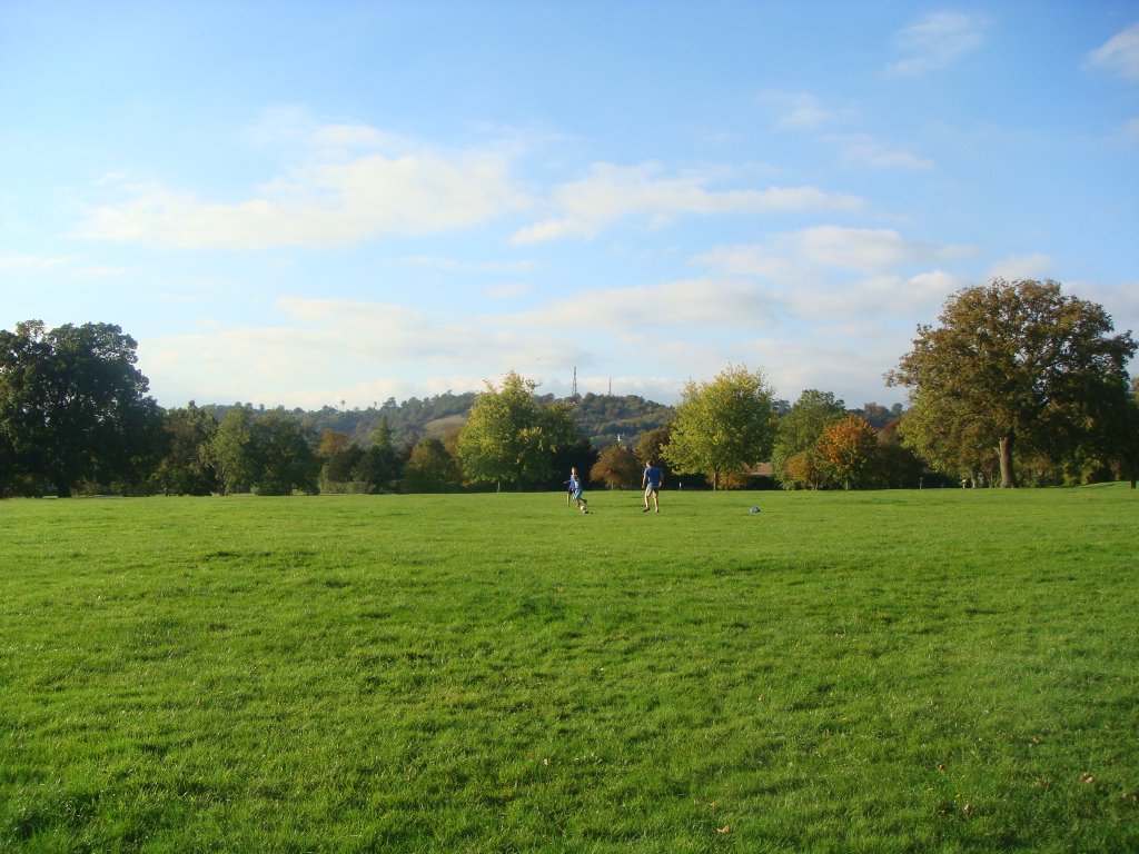Wray common with Reigate Hill in background, Рейгейт