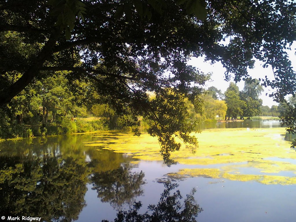 Priory Park Lake (4), Рейгейт