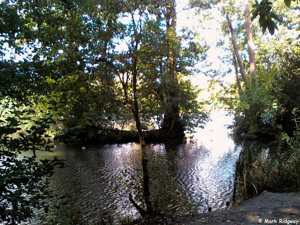 Priory Park Lake (8), Рейгейт