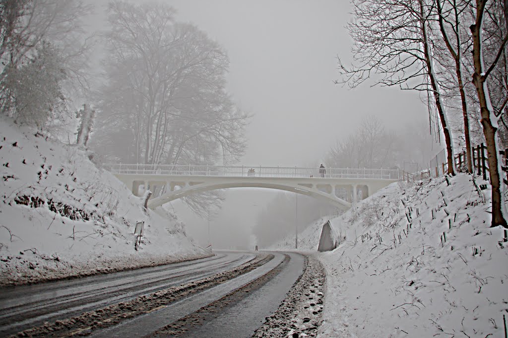 Winter weather, Reigate Hill footbridge, Рейгейт