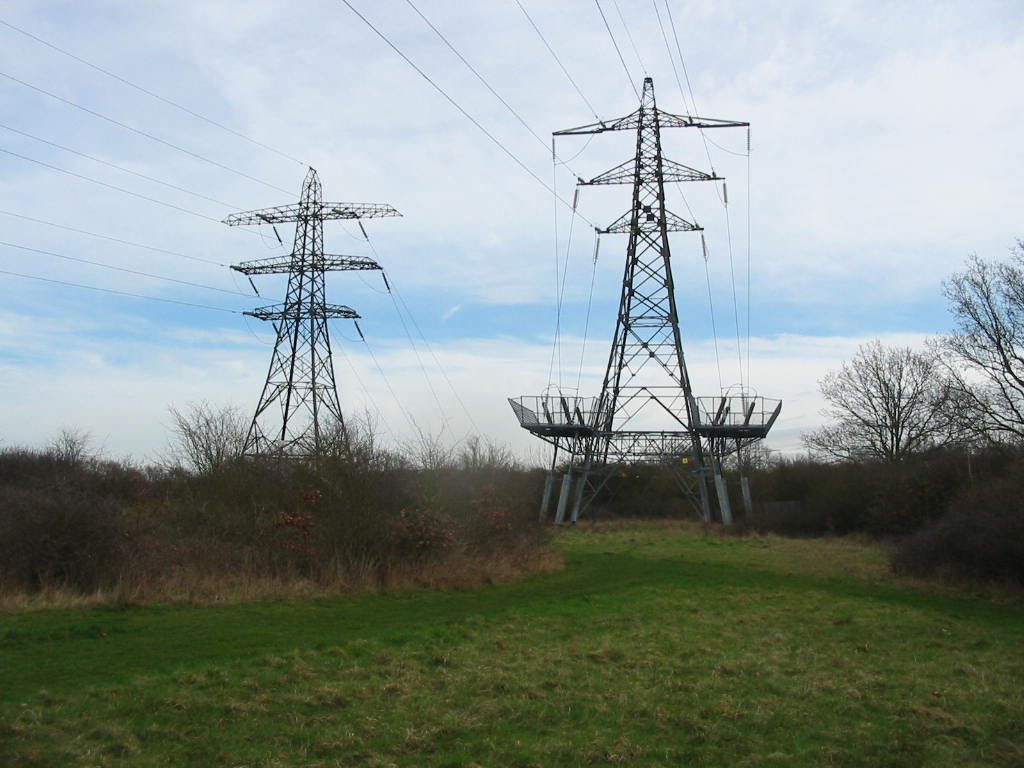 132kV Overhead line pylons at Wheatley Wood, Рейли