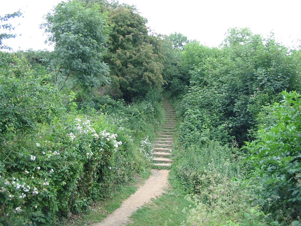 Steps up to the Motte, Рейли