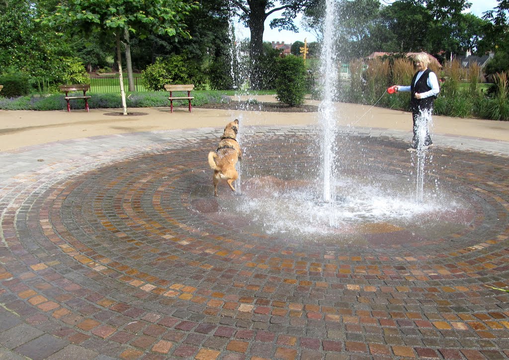 Dog  in a Fountain, Сандерленд
