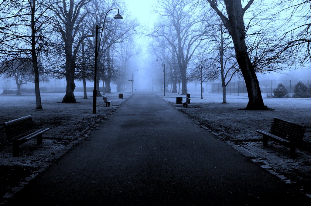 Foggy Morning in East Park, Саутгэмптон