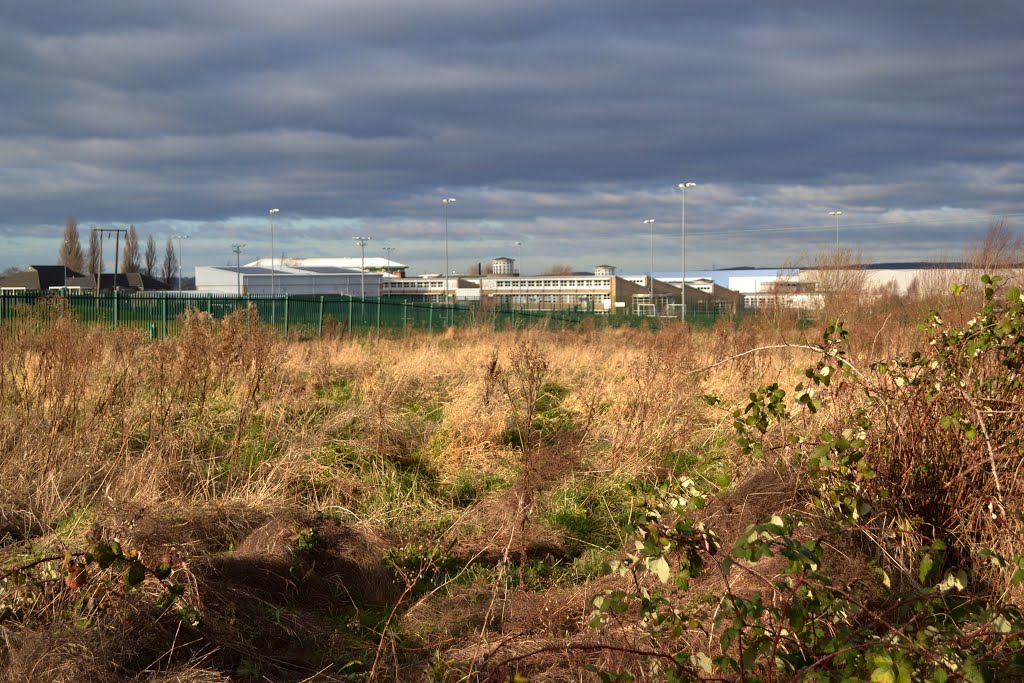 View across scrubland to Dearne Valley College, Manvers, Свинтон