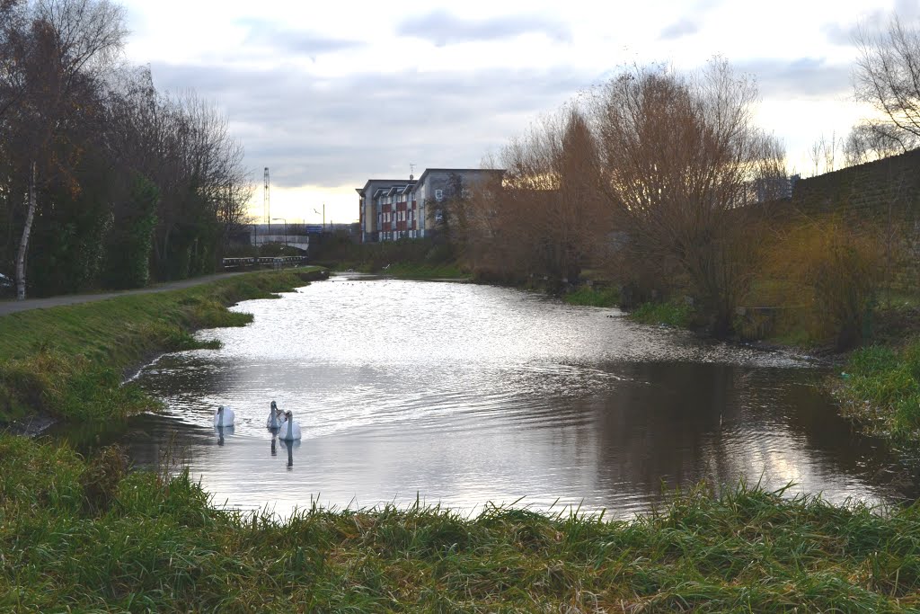 A remaining stretch of the Dearne and Dove Canal at Swinton, Свинтон