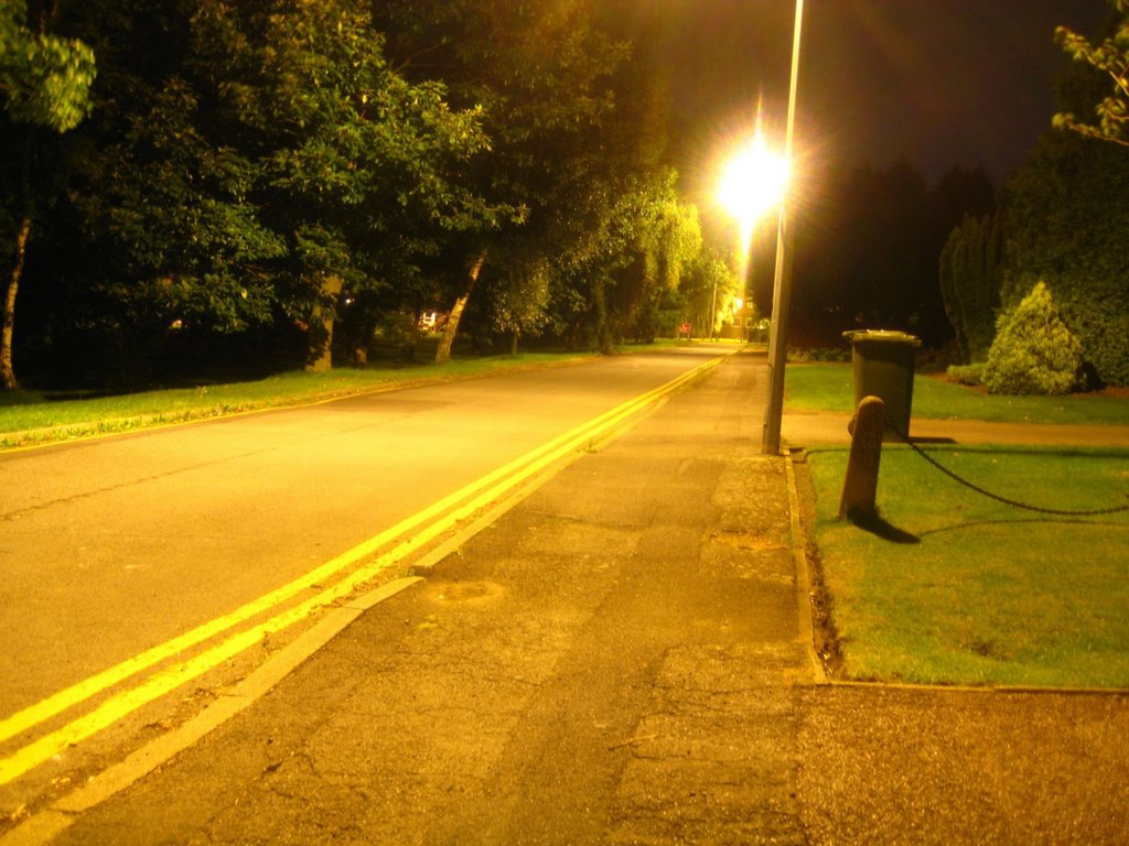 Belvedere Drive Nighttime, Сканторп