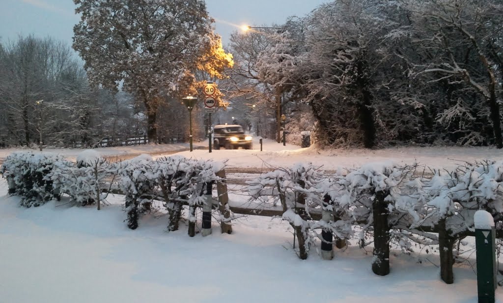 December Snow, Солихалл