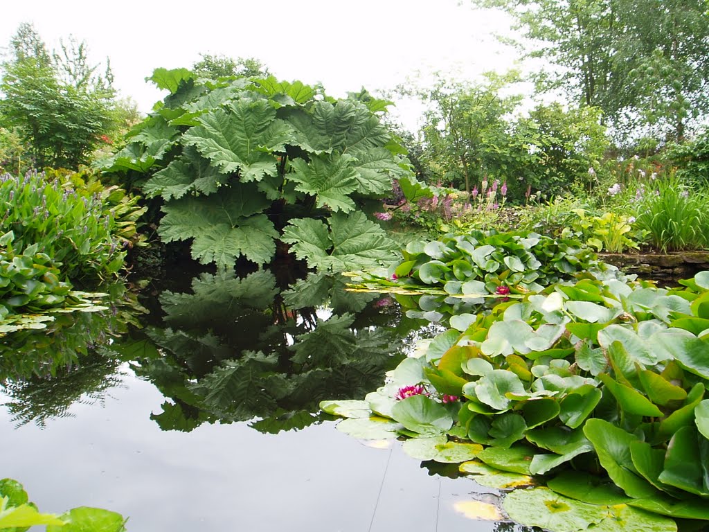 Pond at Stockton Bury Gardens, Kimbolton, Стретфорд