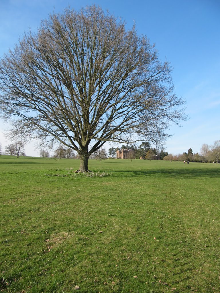 View towards main house, Berrington Hall, Стретфорд