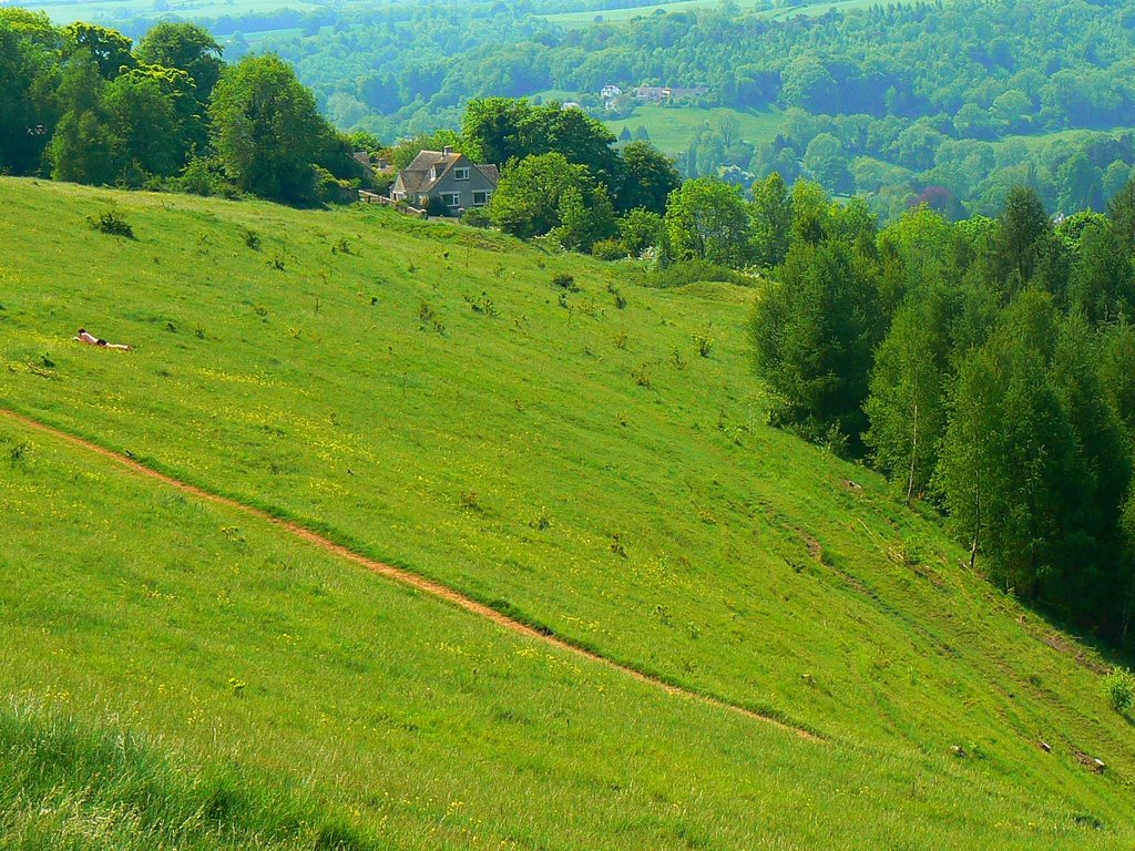 Rodborough Common, near Stroud (south-west), Строуд