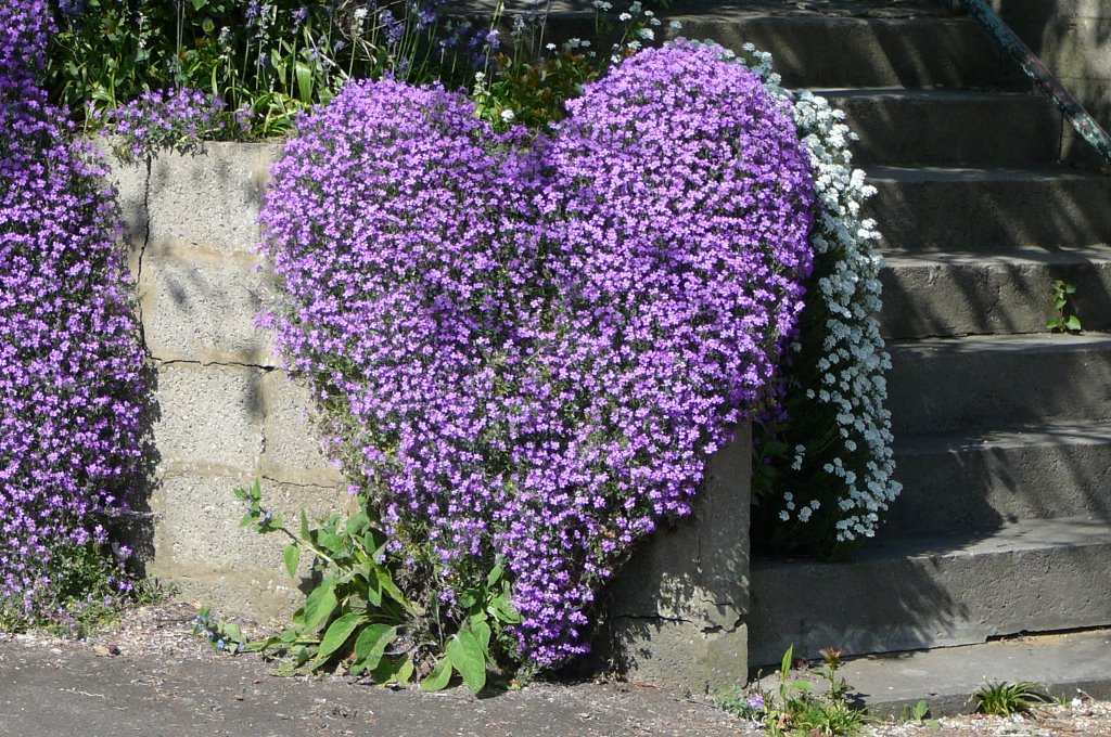 Slad Rd. Stroud, heart flowers, Строуд