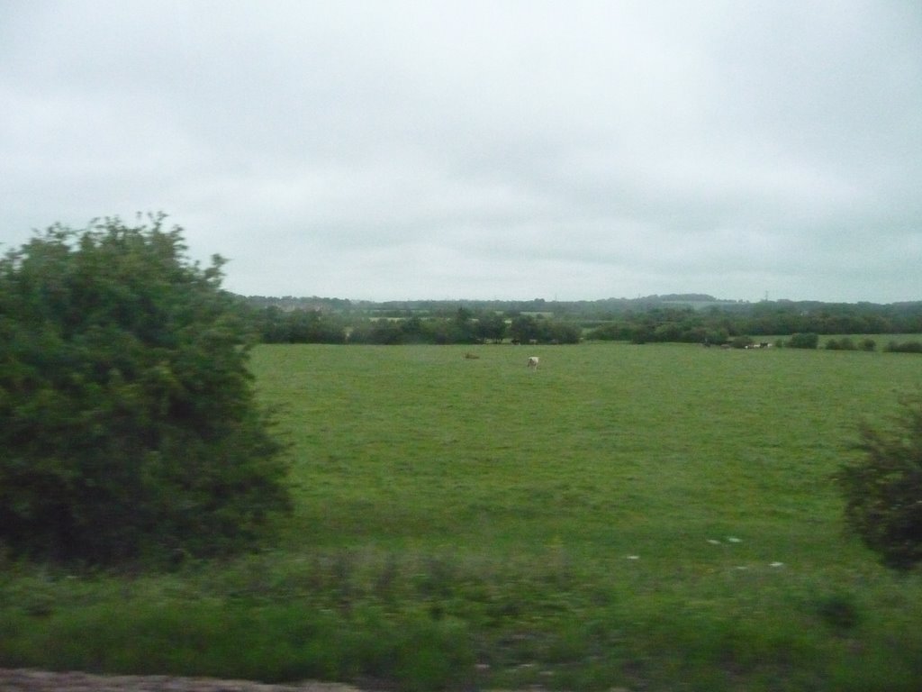 West Wiltshire : Grassy Field & Countryside, Траубридж