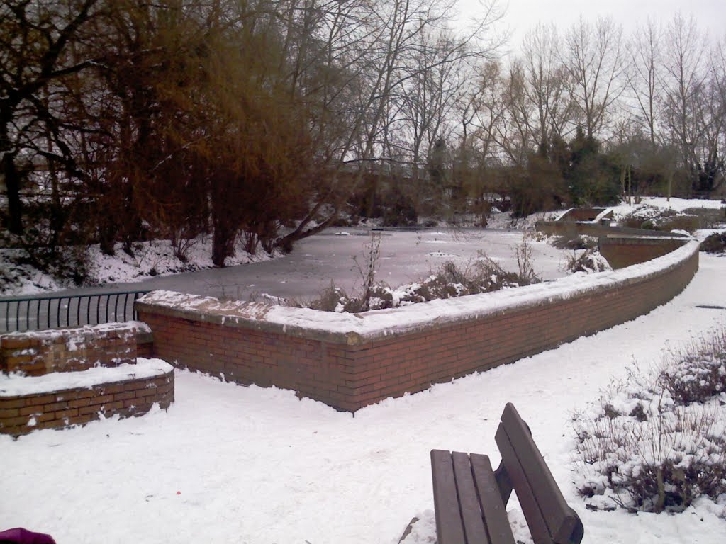 Trowbridge Park frozen Duck Pond - 11.01.2010, Траубридж
