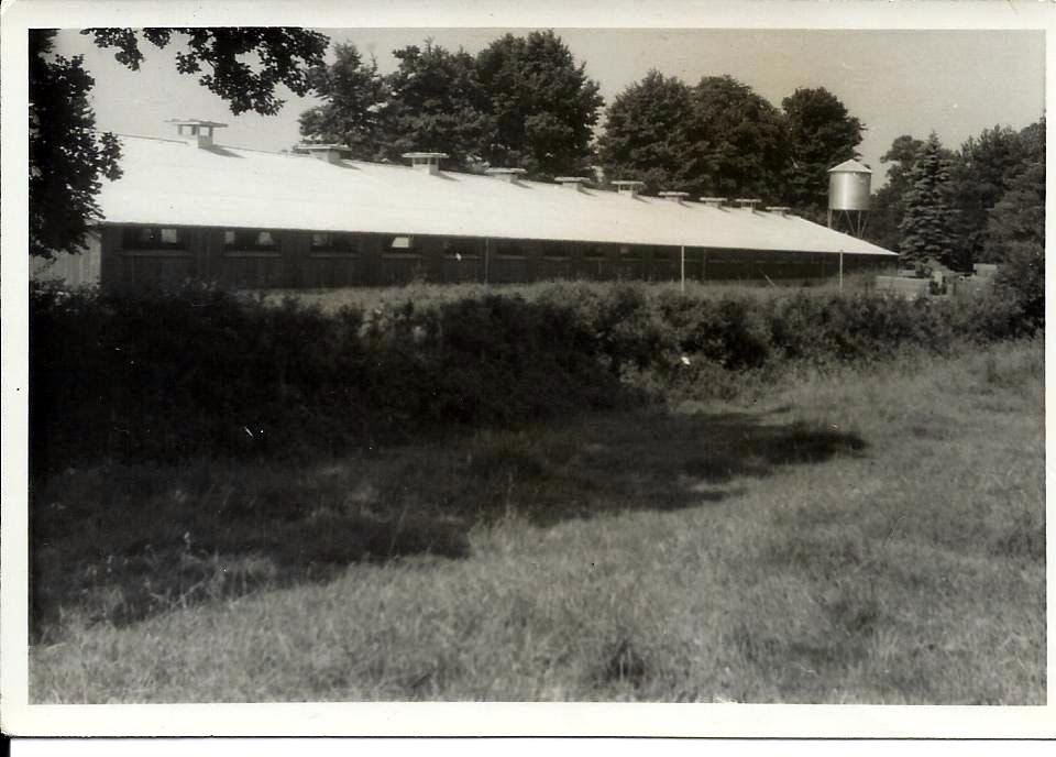 Criadero de Broilers, Wilow Grove, North Bradley 1960, Траубридж