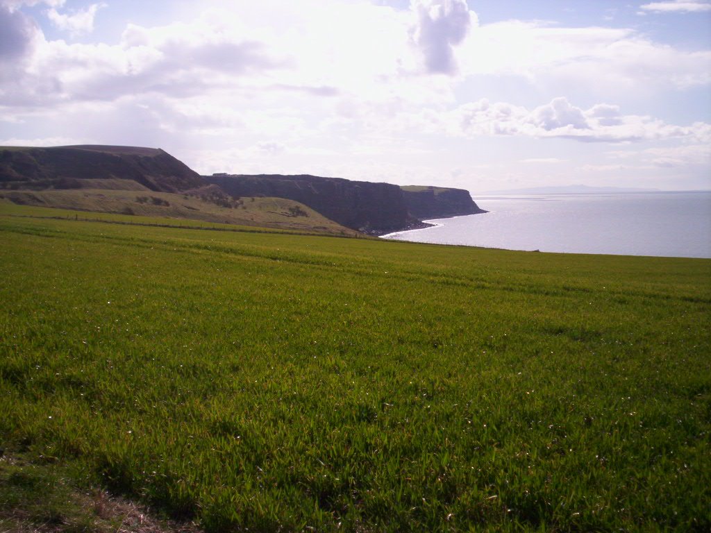 St Bees Head looking west. Excellent soaring site, Уайтхейен