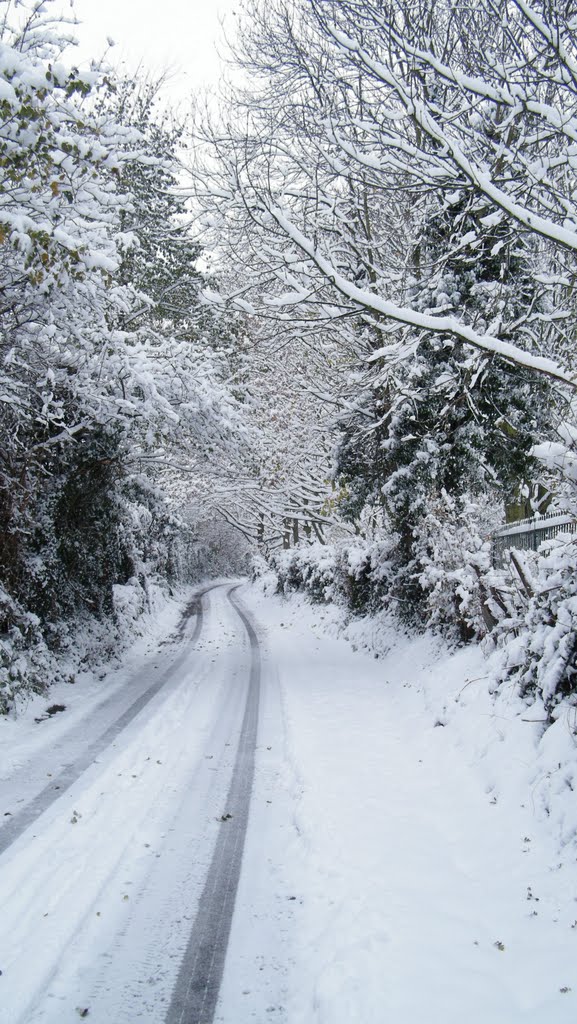 Kingscroft Lane in the Snow, Хавант
